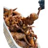 Project Wild Wings